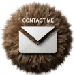 Email form contact button